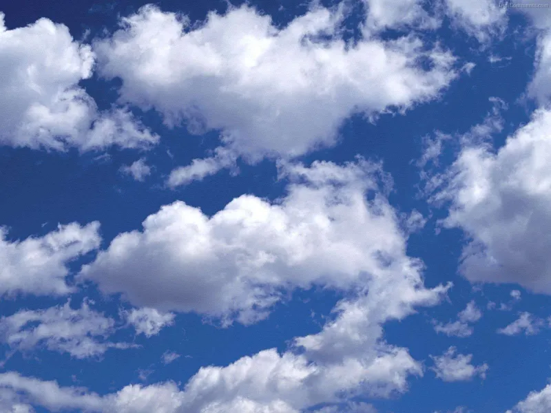 The Sync Trap: How Your Cloud Backup Can Actively Participate in Destroying Your Data